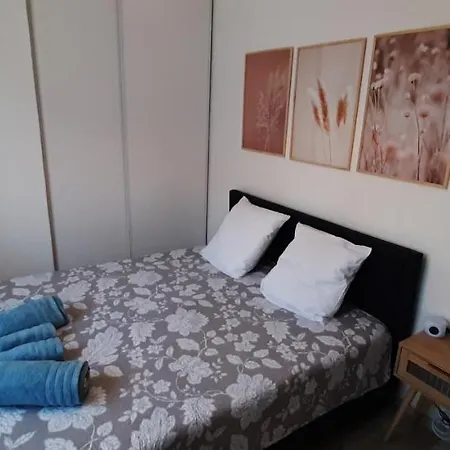 Bassin D'arcachon, Maison Climatisee Au Calme, Proche Holiday home Lanton