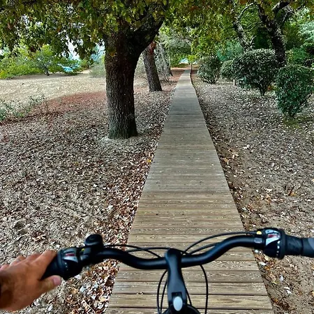 Bassin D'arcachon, Maison Climatisée Au Calme, Proche Сasa de vacaciones *