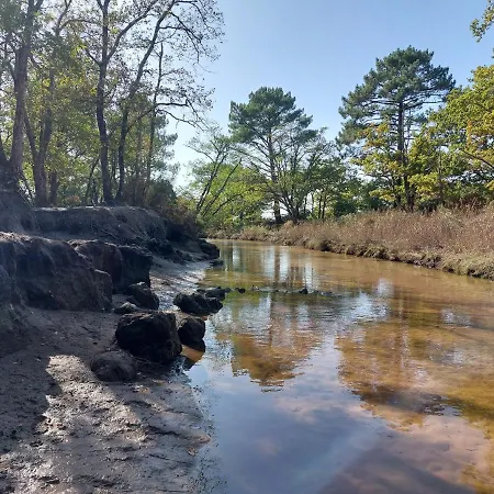 Bassin D'arcachon, Maison Climatisée Au Calme, Proche Lanton