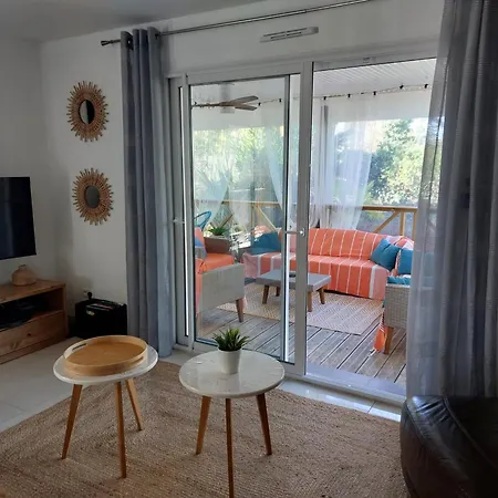 Bassin D'arcachon, Maison Climatisee Au Calme, Proche Lanton