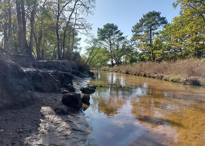 Bassin D'arcachon, Maison Climatisee Au Calme, Proche Lanton